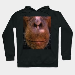 Monkey mouth face mask - monkey lover gifts - monkey face masks Hoodie